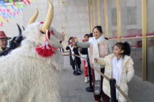 202602271009136053.png image.png